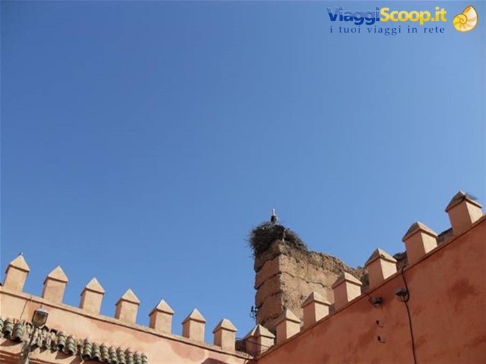 una cicogna sulle mura di Marrakech