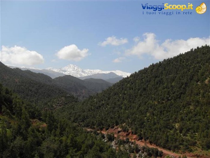 la valle dell'Ourika, sullo sfondo l'Atlante