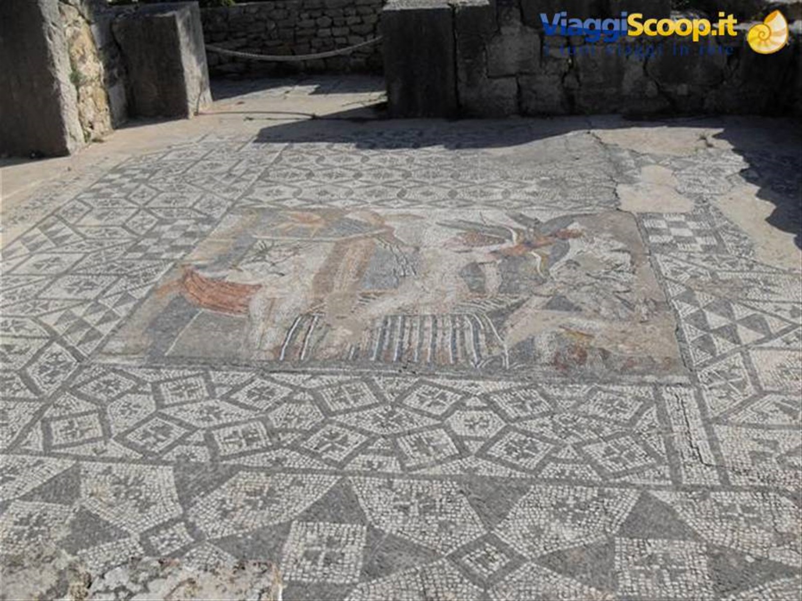mosaici a Volubilis