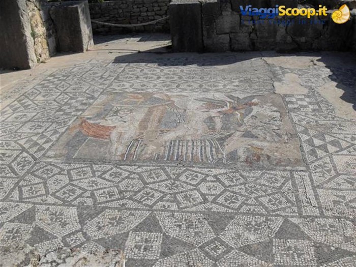 mosaici a Volubilis