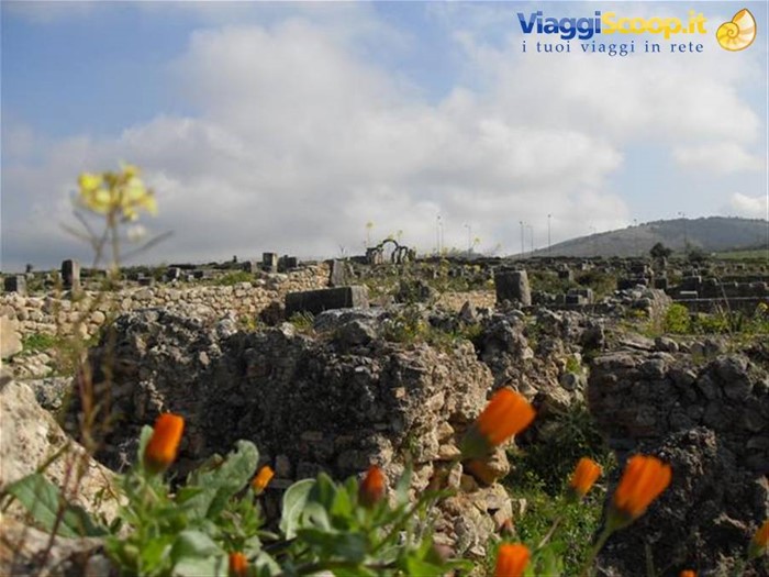 archeologia fra i fiori