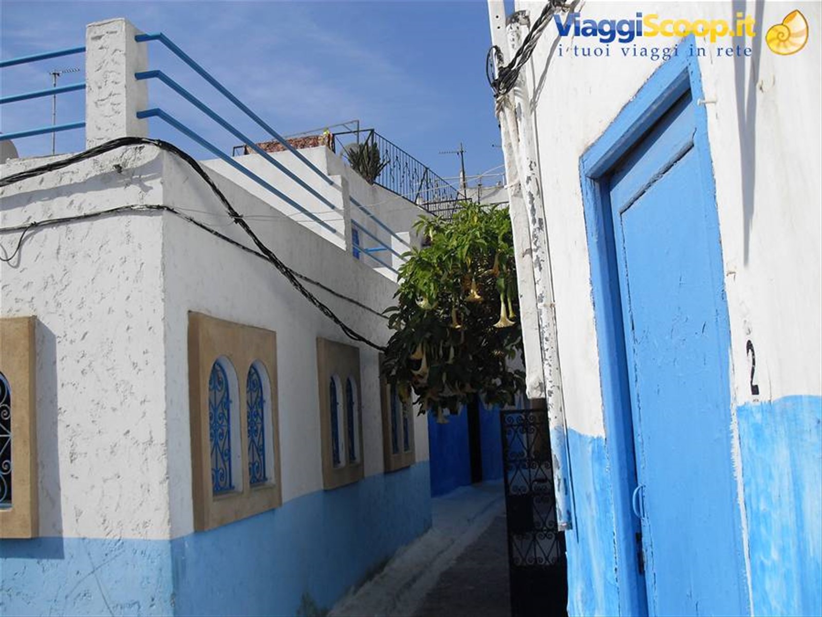 bianco e blu a Casablanca