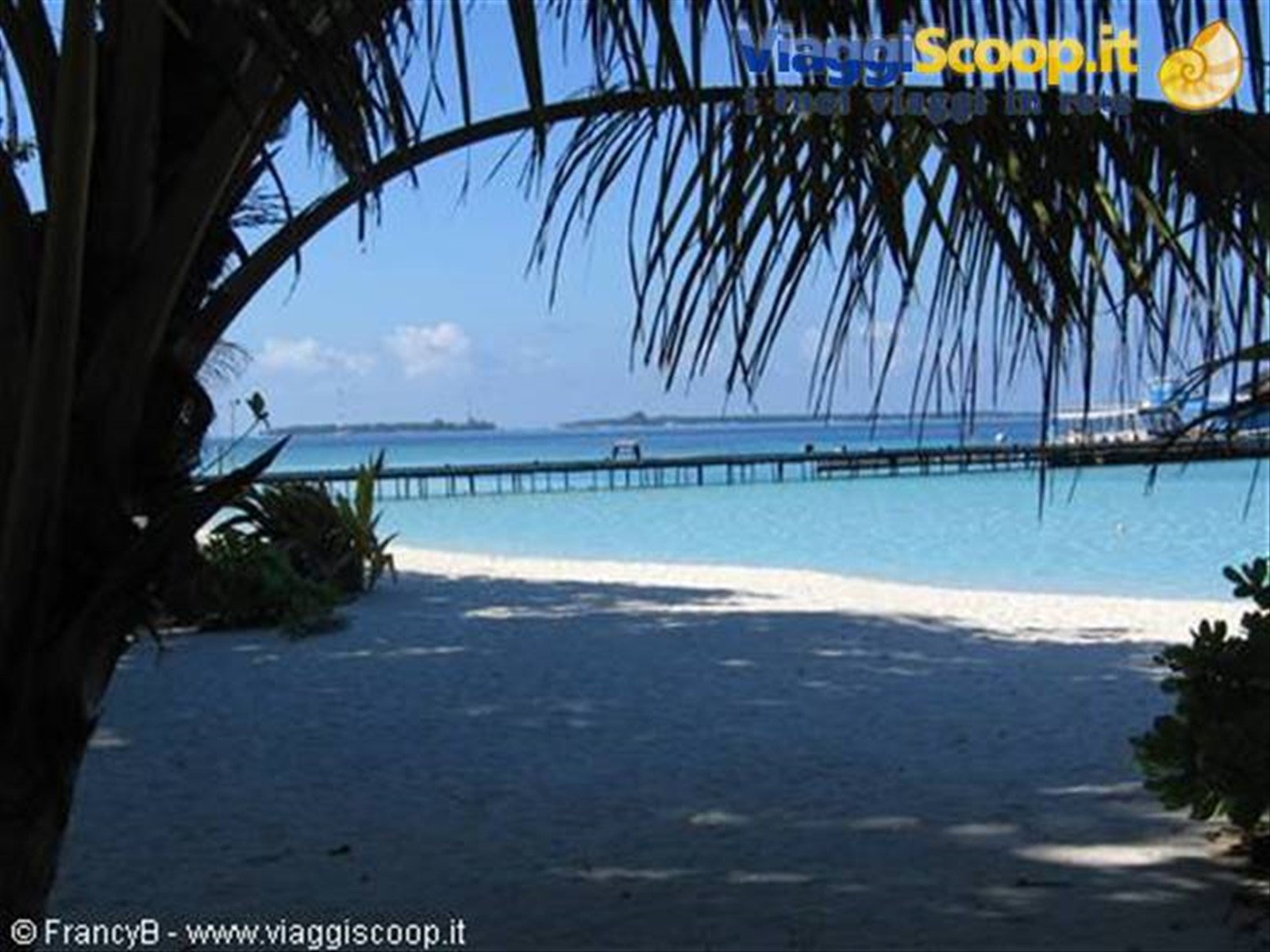 Foto di viaggio in MALDIVE