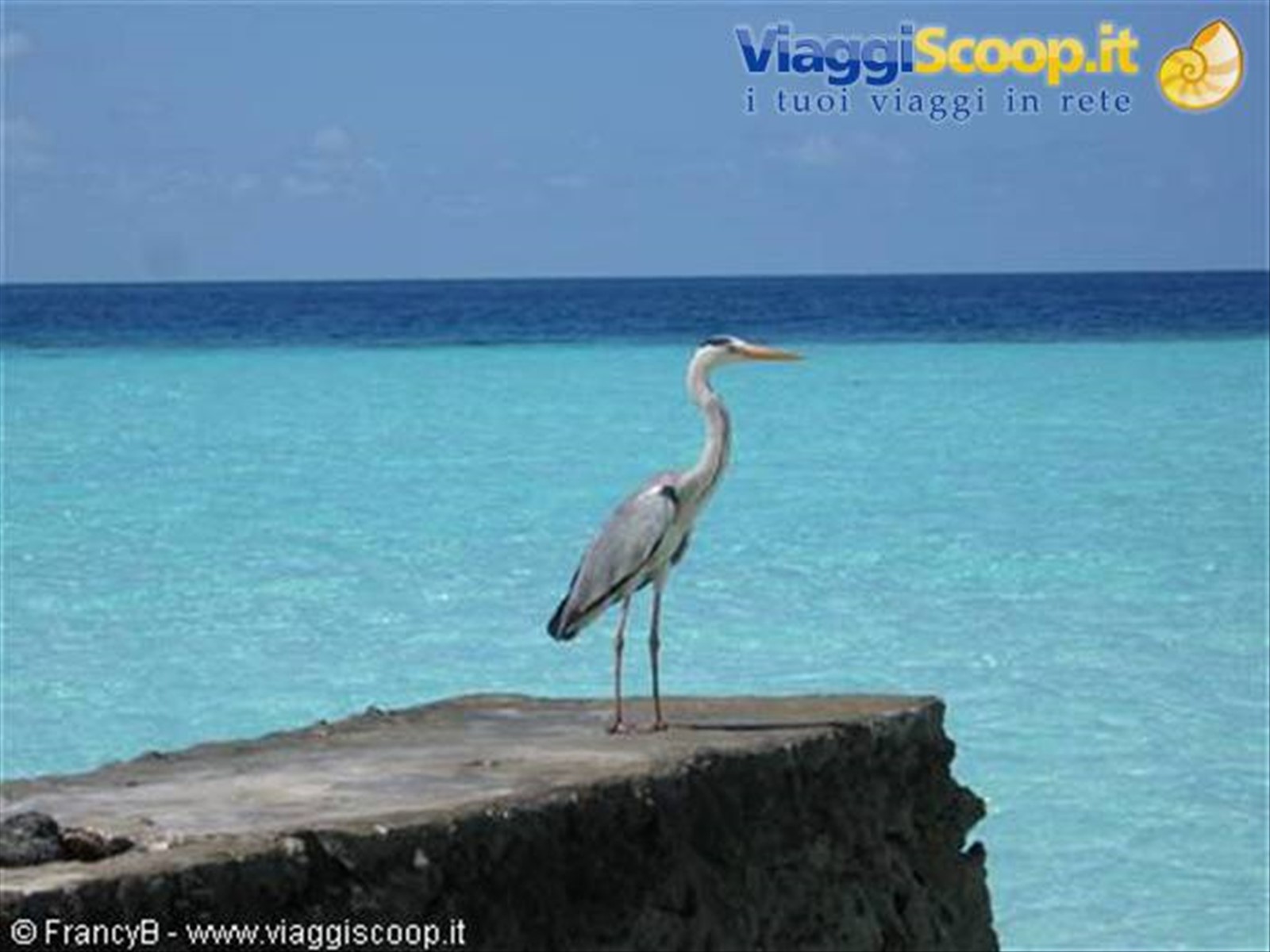 Foto di viaggio in MALDIVE
