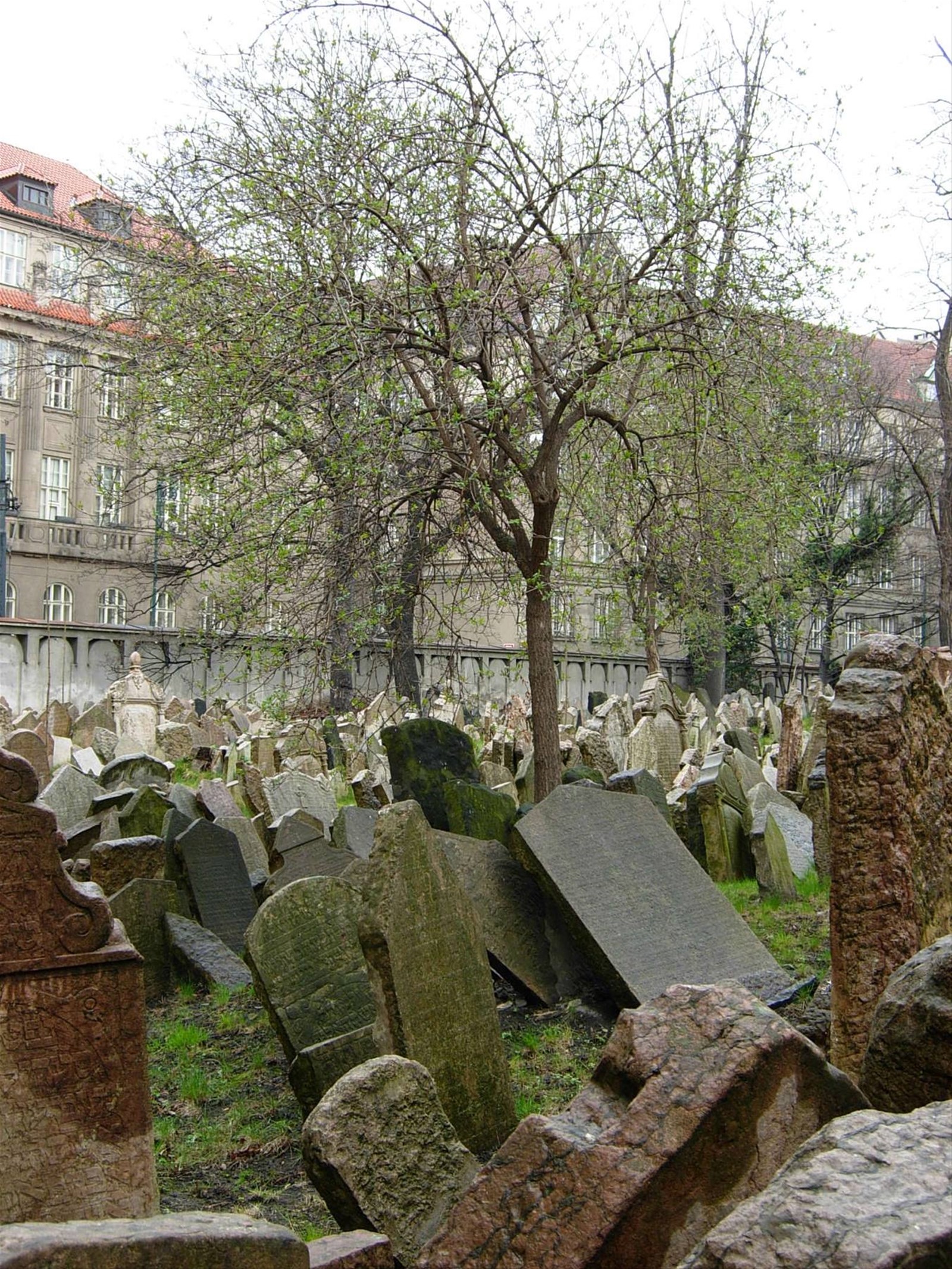 Cimitero ebraico