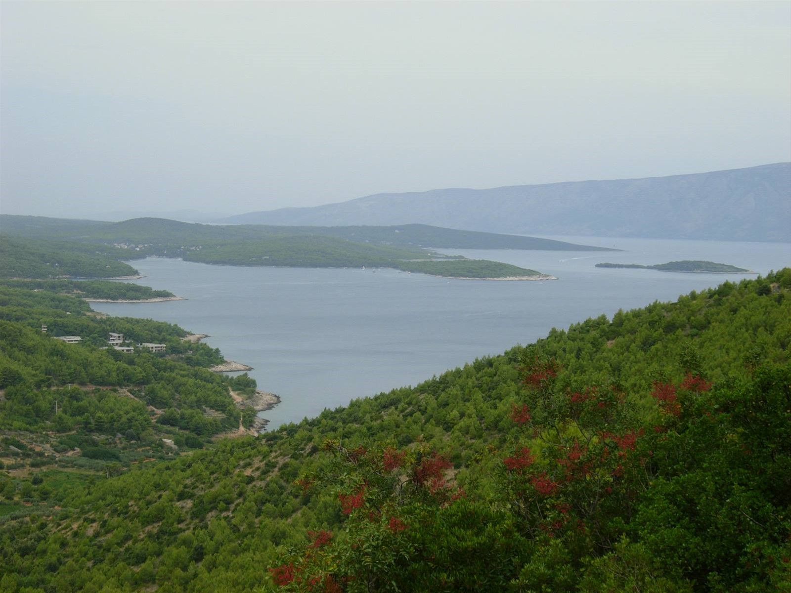 verso Sucuraj