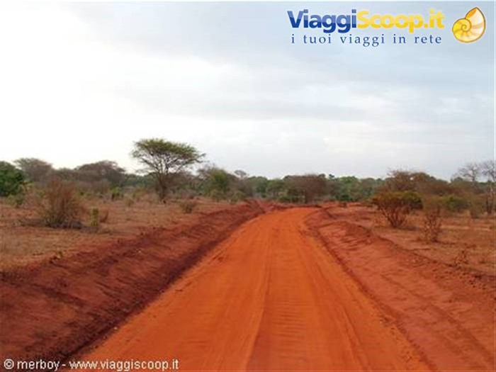 Safari - Tsavo Est