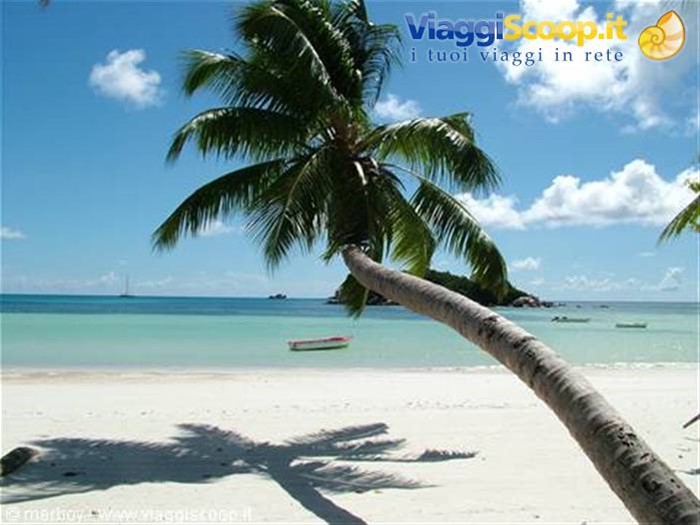 Praslin - Anse Volbert