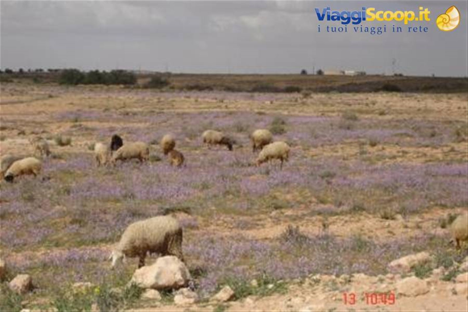 Foto di viaggio in TUNISIA