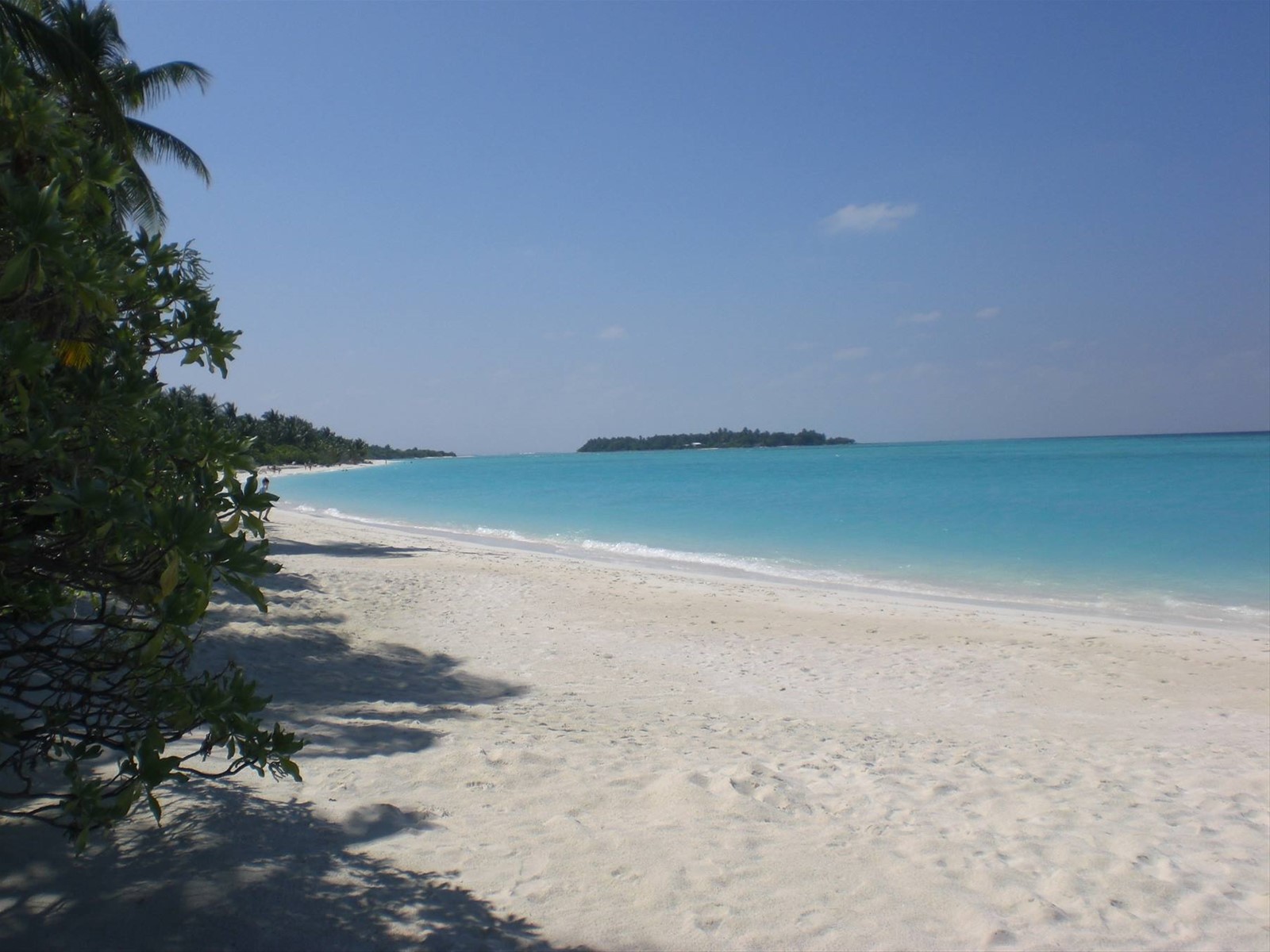 Foto di viaggio in MALDIVE