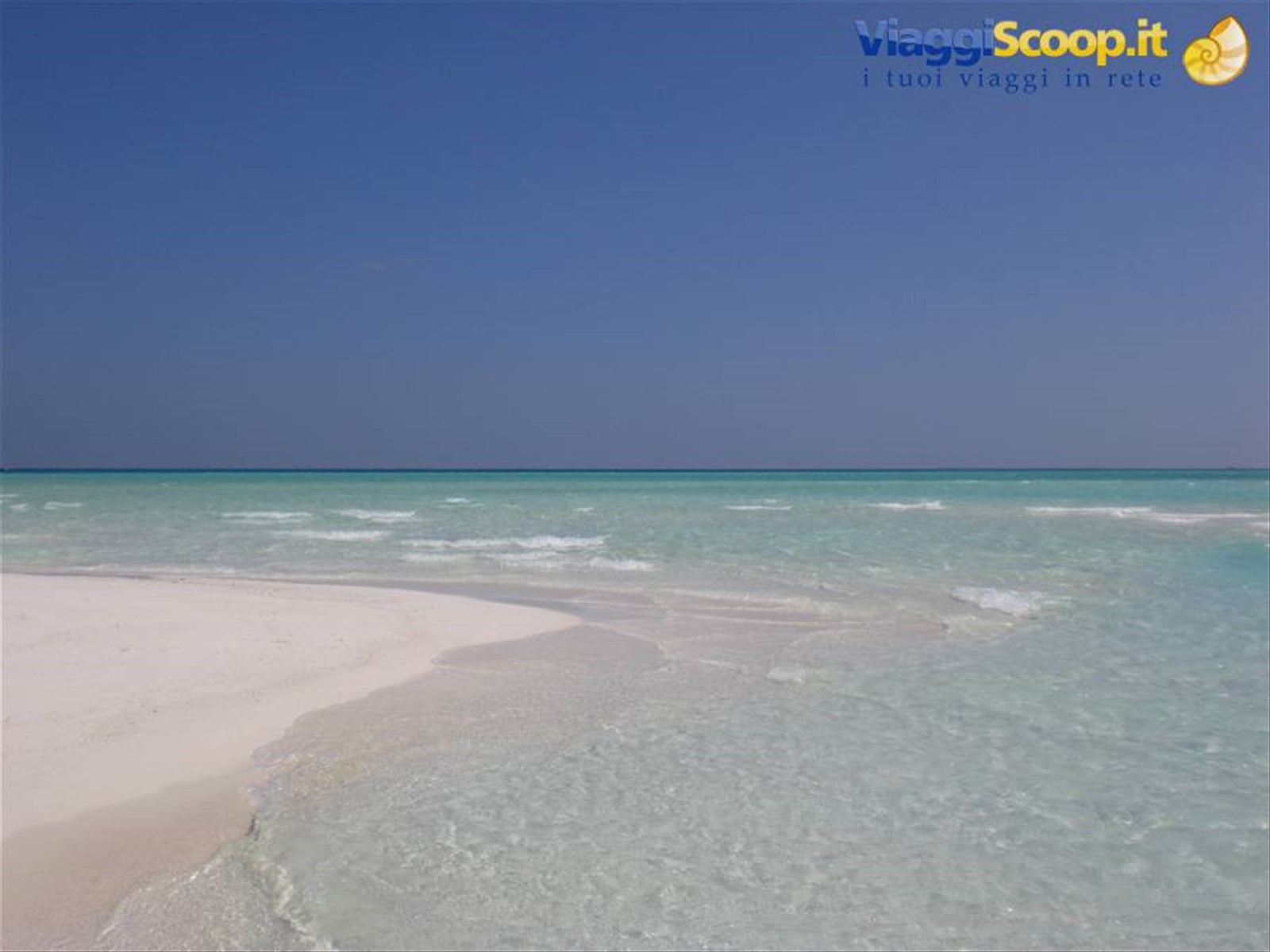 Foto di viaggio in MALDIVE