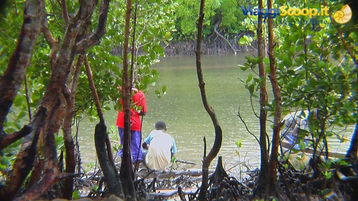 Pescatori al Mida Creek