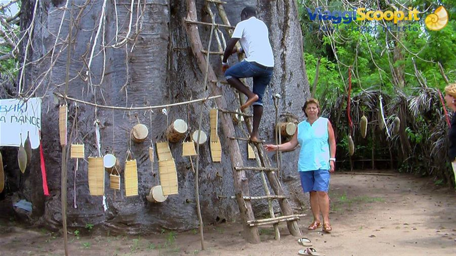 Mambrui: Il vecchio baobab