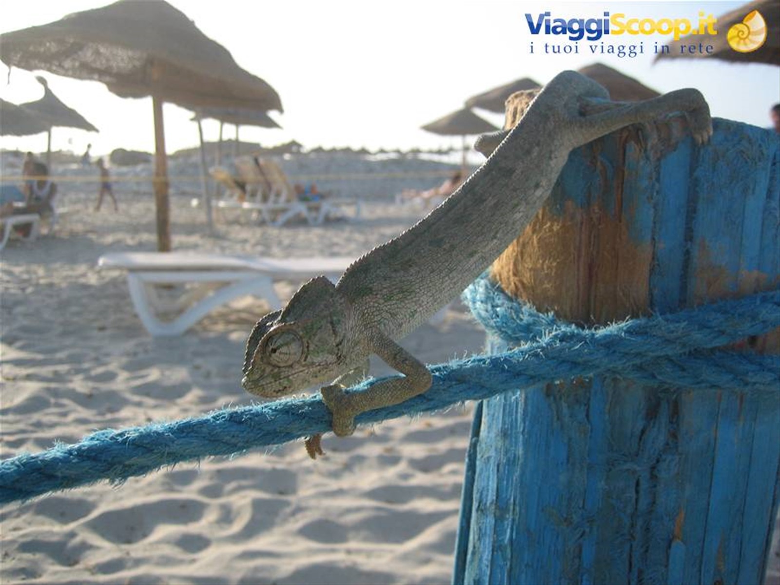 Foto di viaggio in TUNISIA