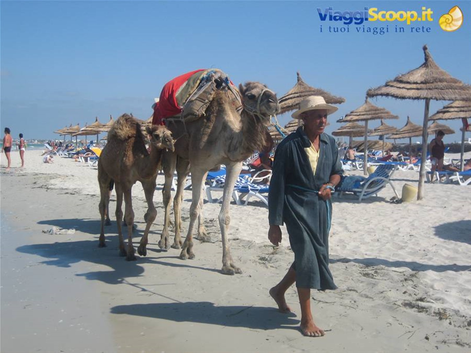 Foto di viaggio in TUNISIA