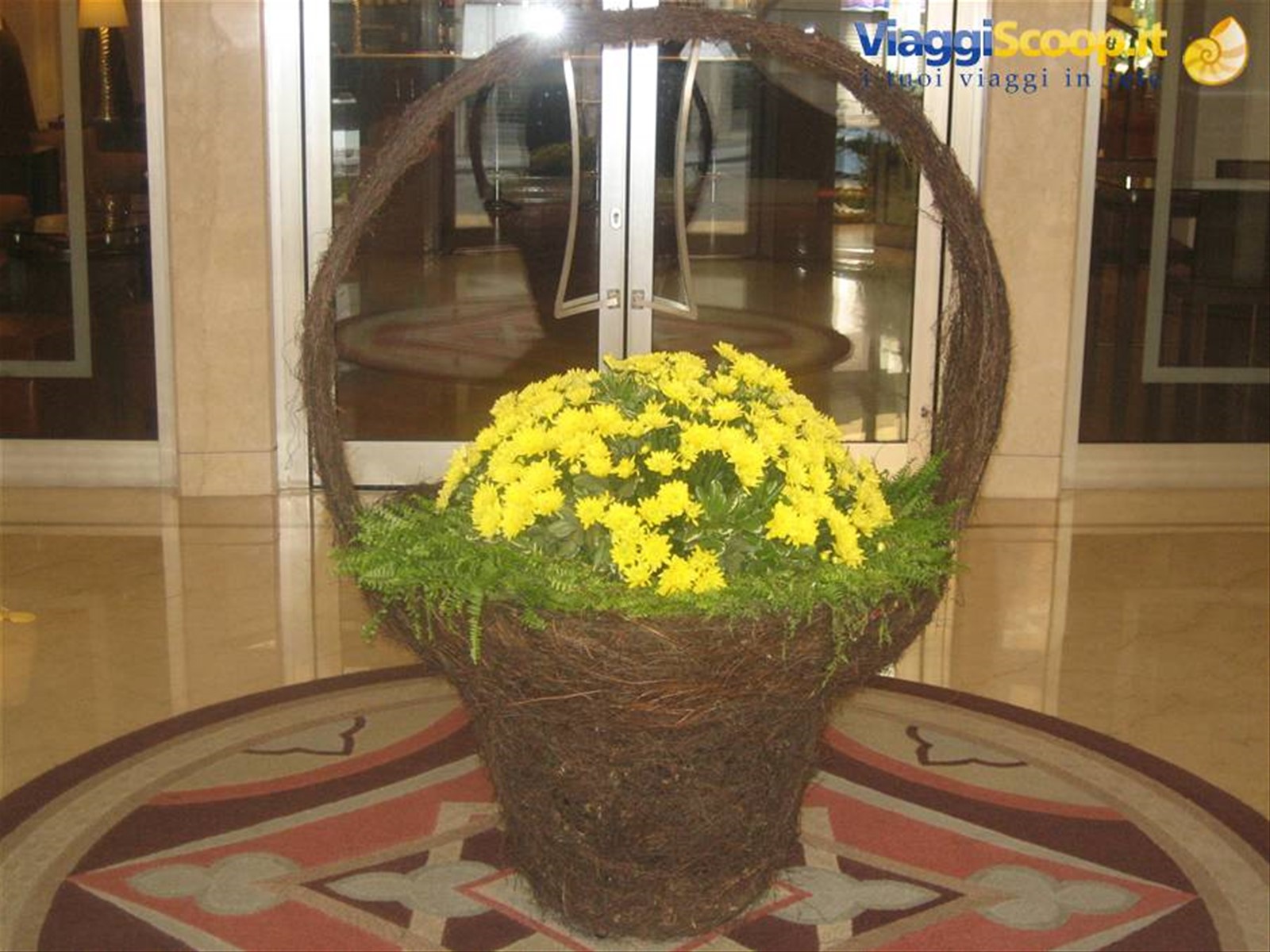 Fiori di benvenuto, Hotel Mediterraneo
