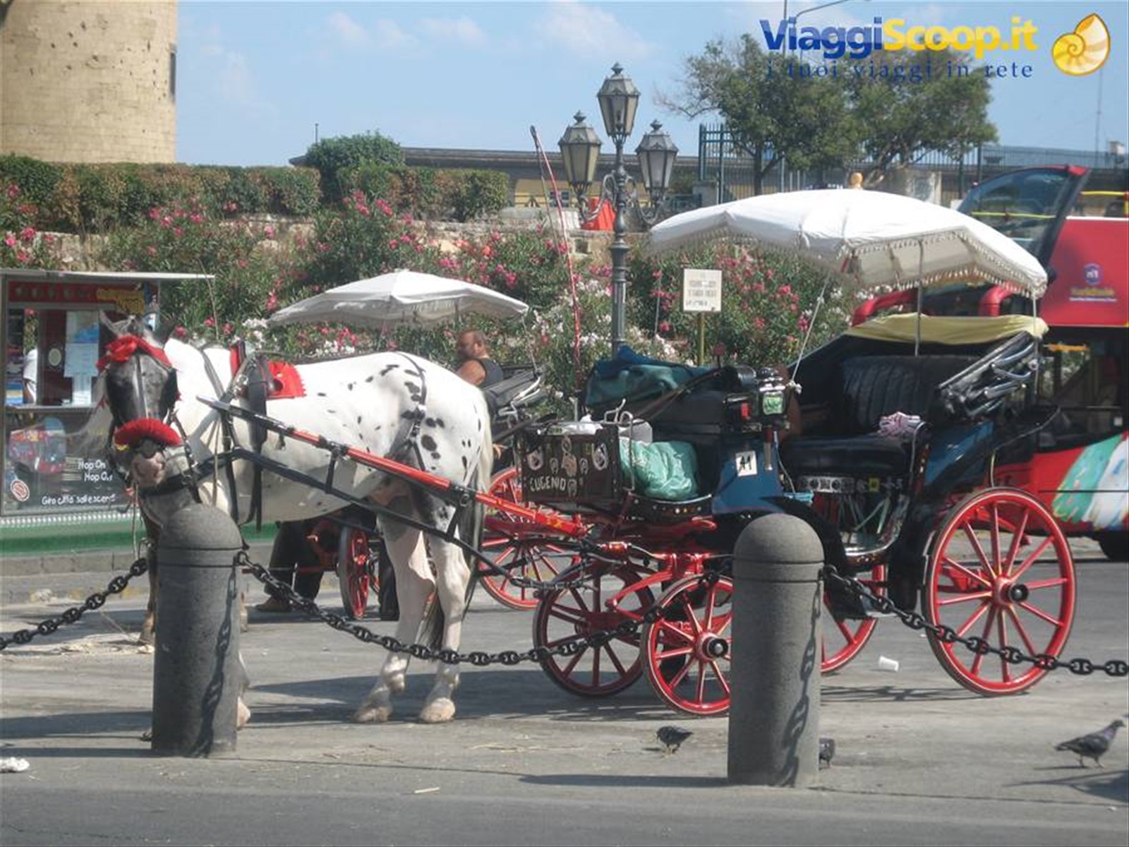 Tipica carrozza