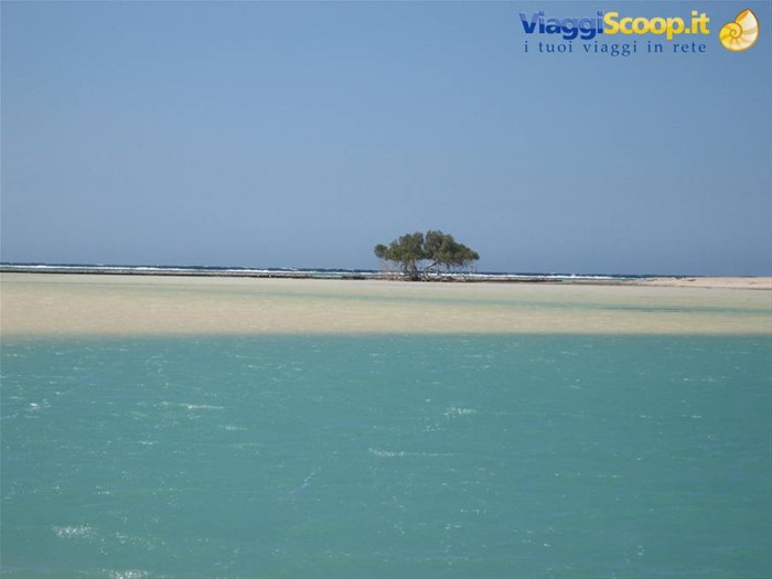 Baia delle tartarughe