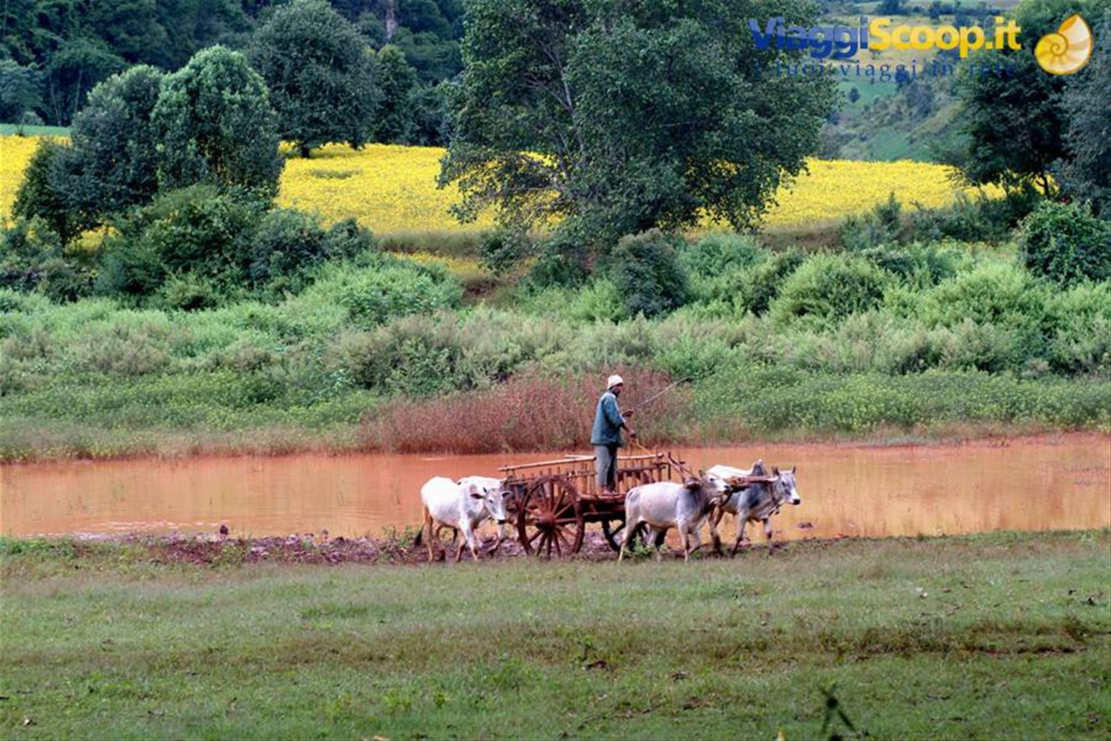 campagne intorno a Kalaw