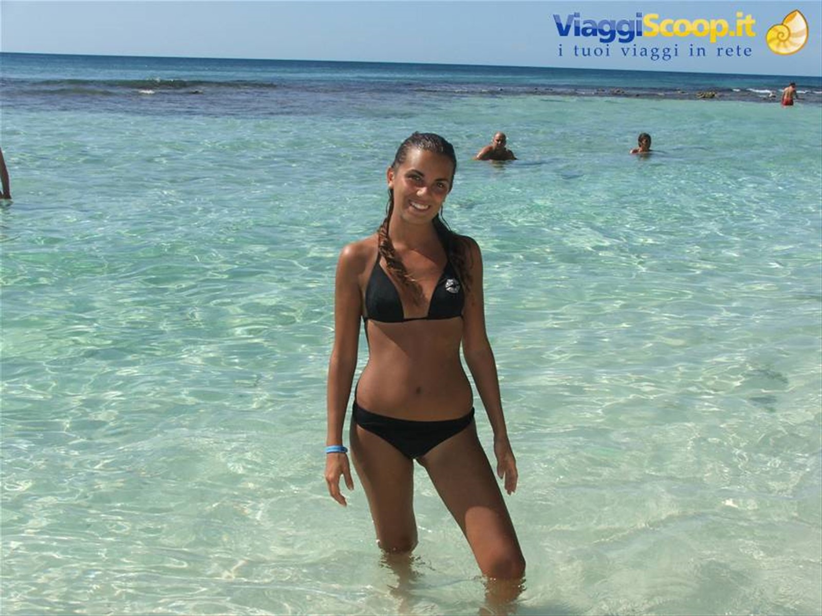 VIVA DOMINICUS