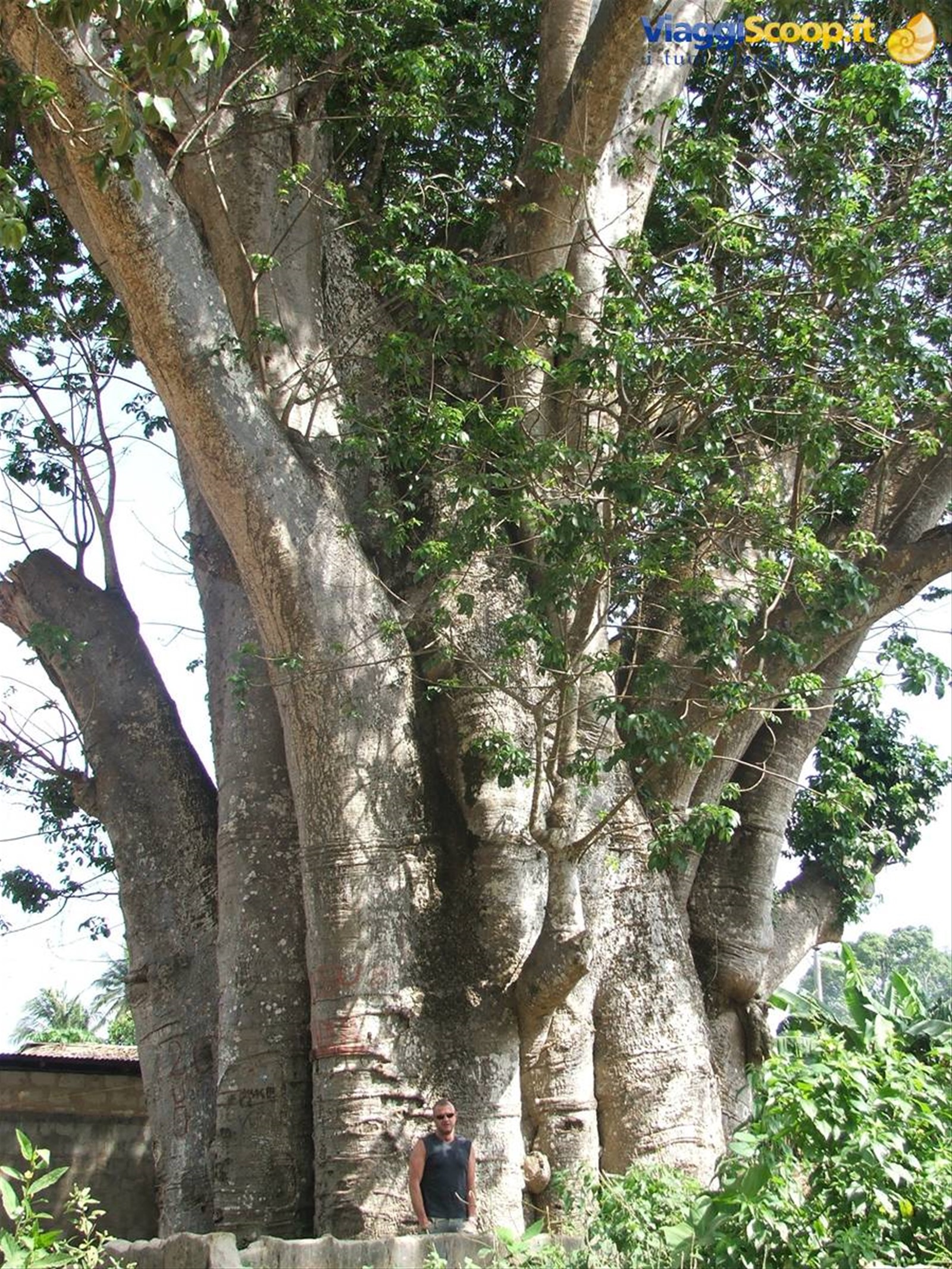 Foto di viaggio in TANZANIA