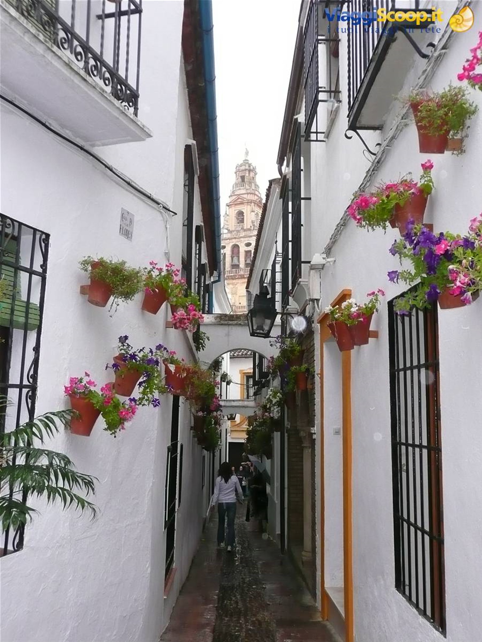 Foto di viaggio in SPAGNA