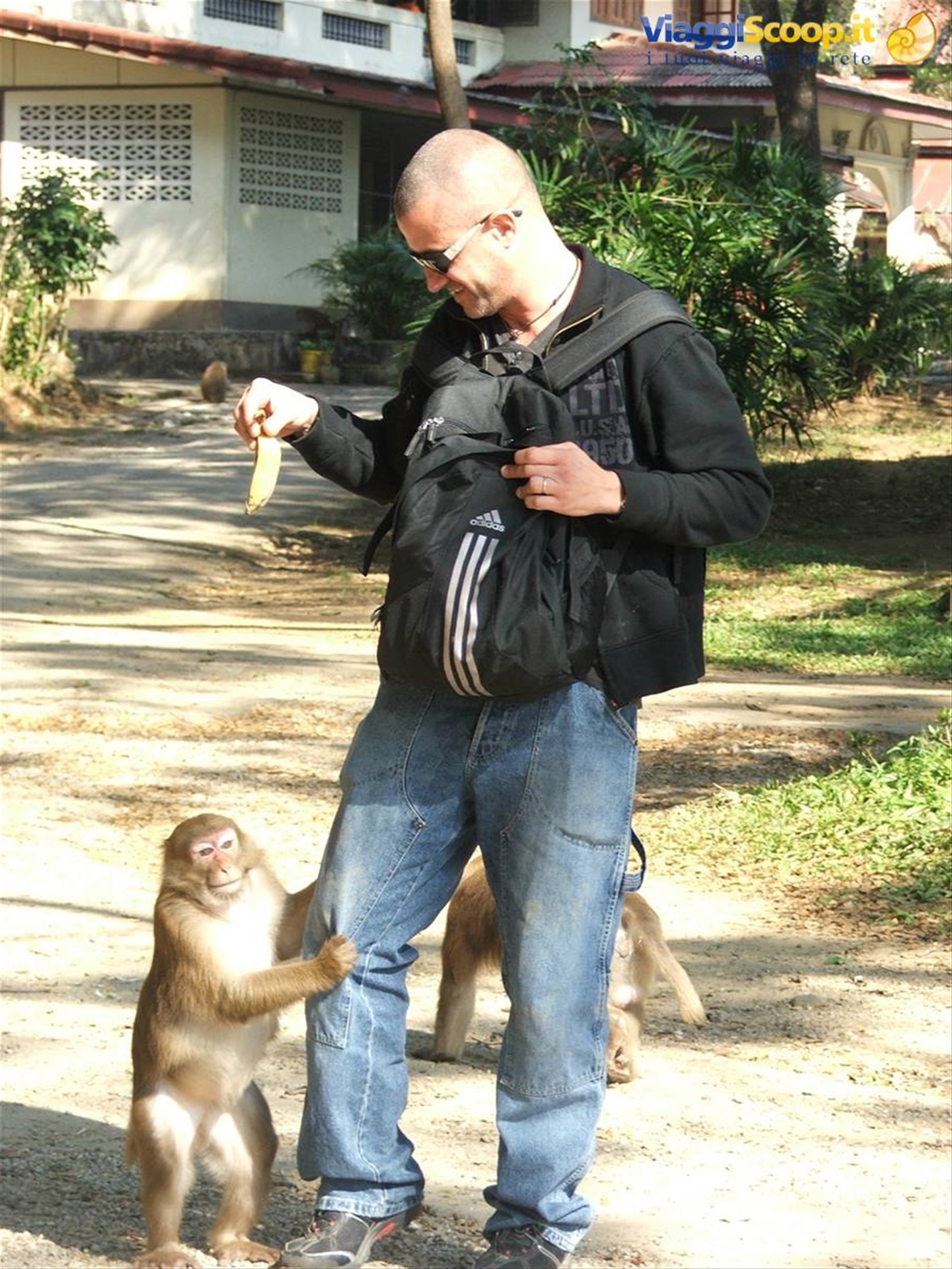 Foto di viaggio in TAILANDIA