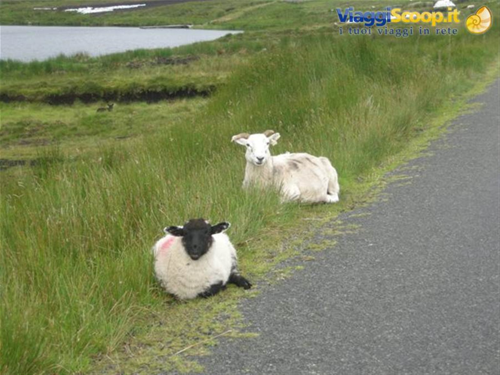 Foto di viaggio in IRLANDA