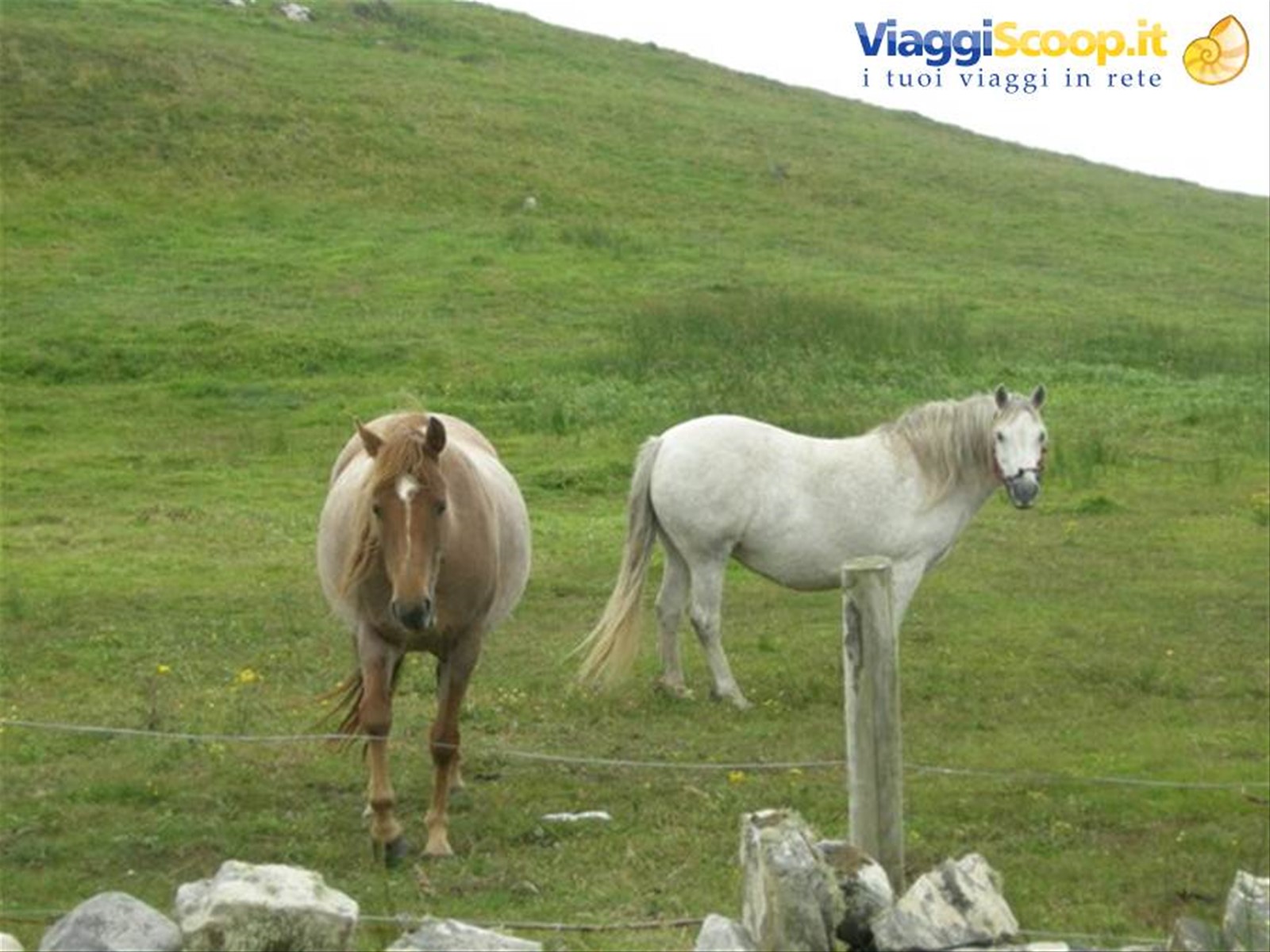 Foto di viaggio in IRLANDA