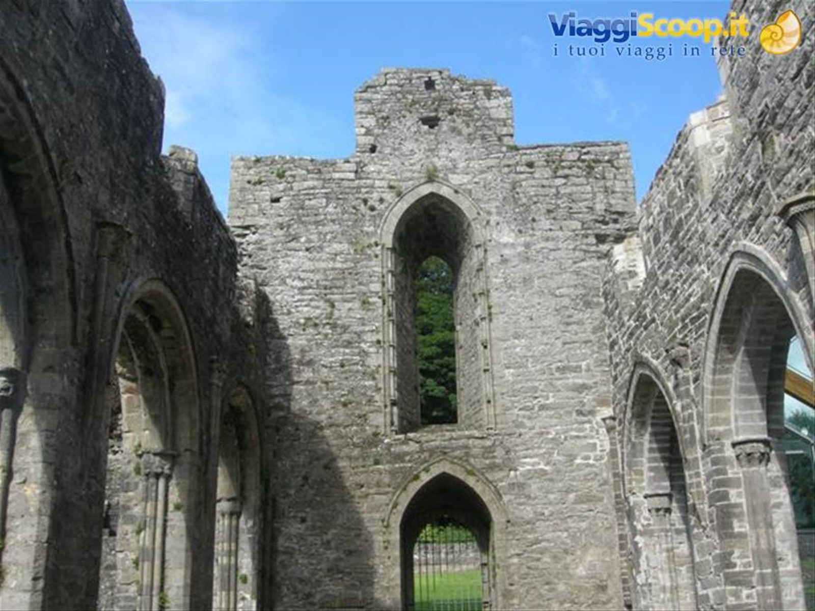 Boyle Abbey