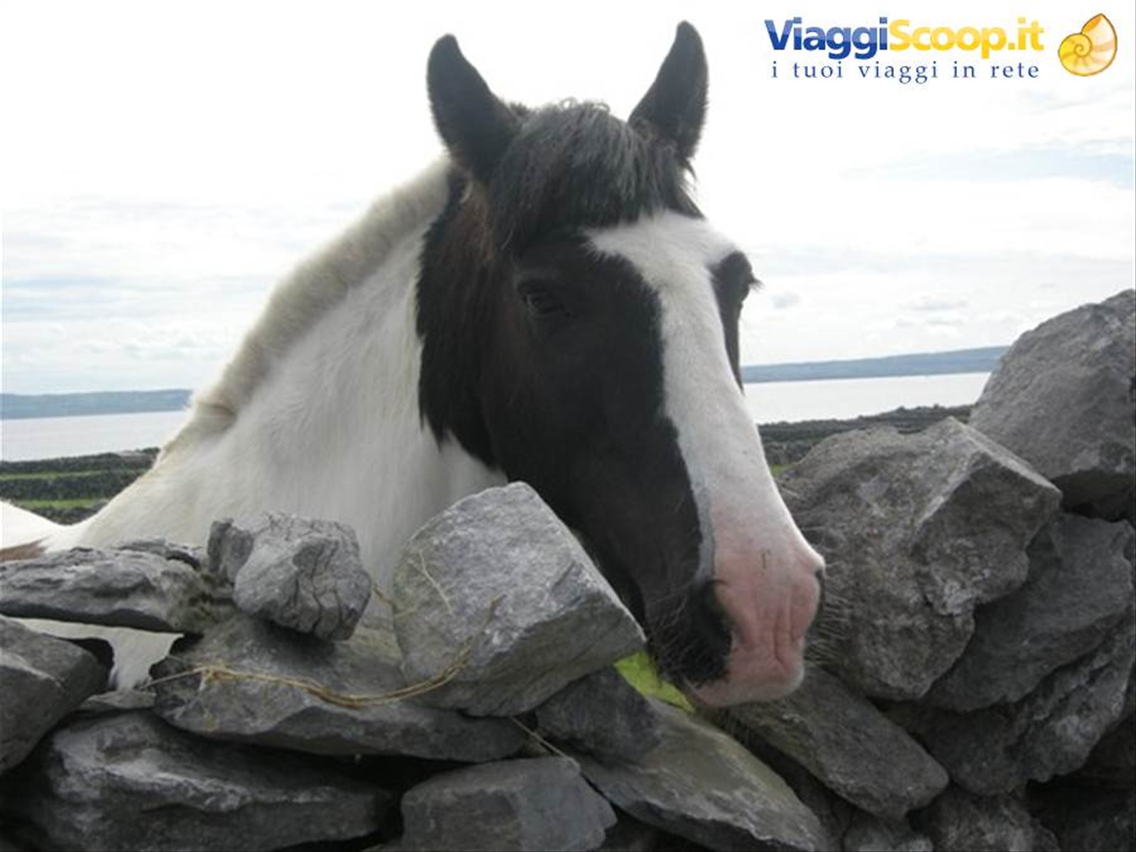Aran Islands - Inis Oírr