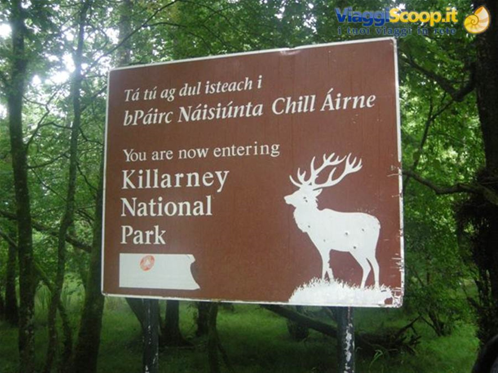 Foto di viaggio in IRLANDA
