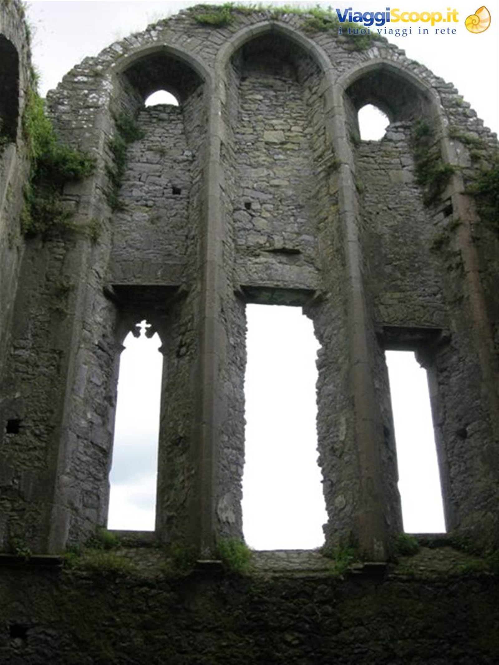 Hore Abbey