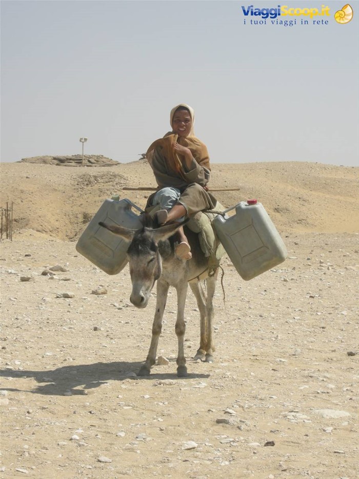 Sakkara 