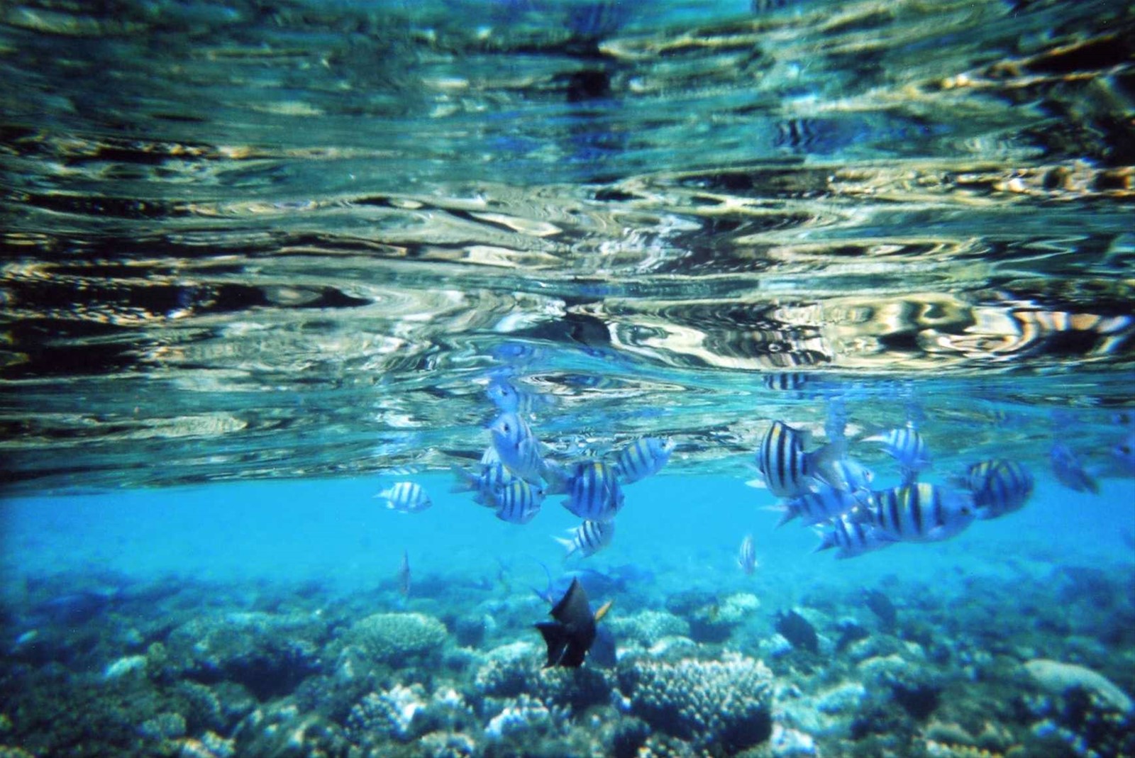 Un po' di snorkeling...