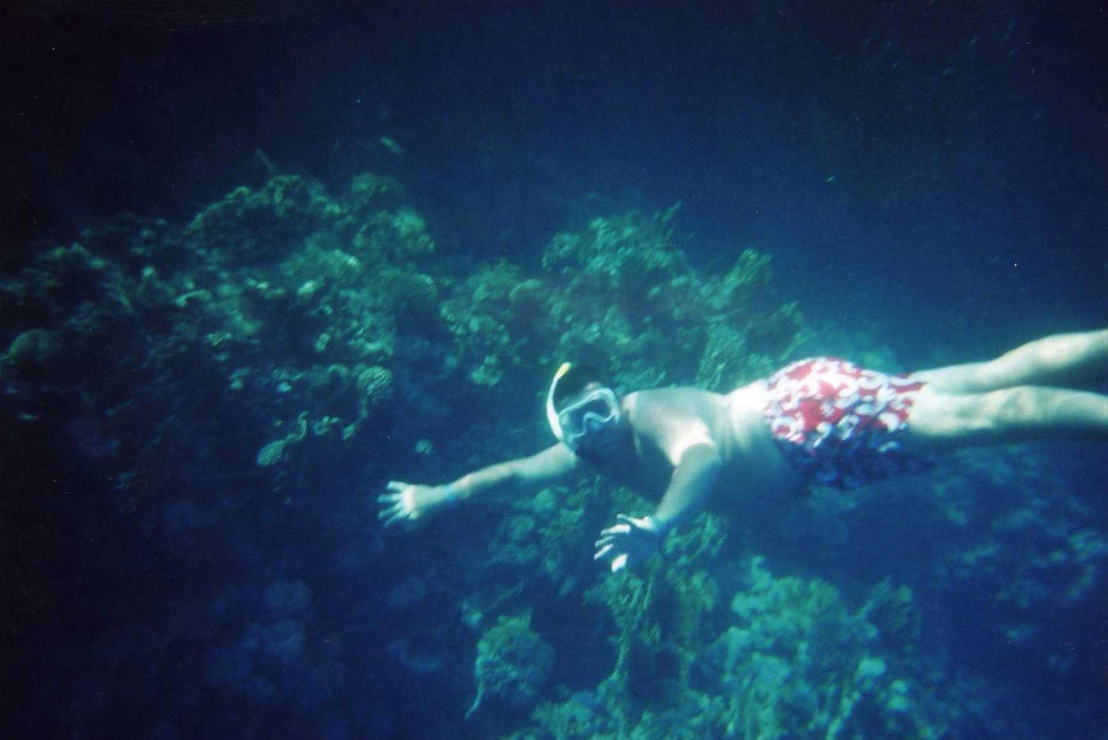 Un po' di snorkeling...
