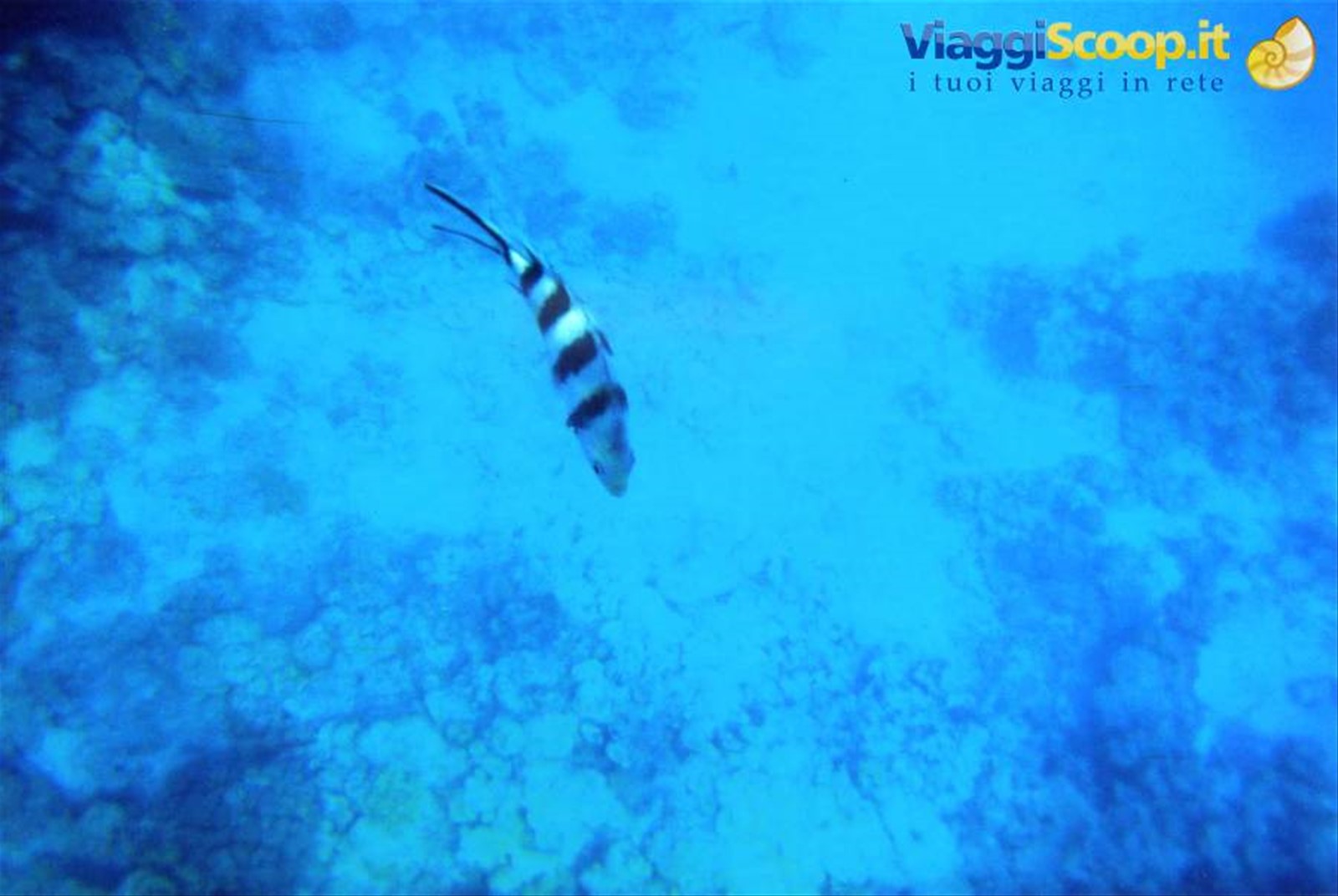 Un po' di snorkeling...