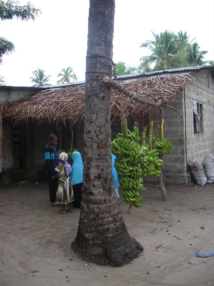 Villaggio di Nungwi