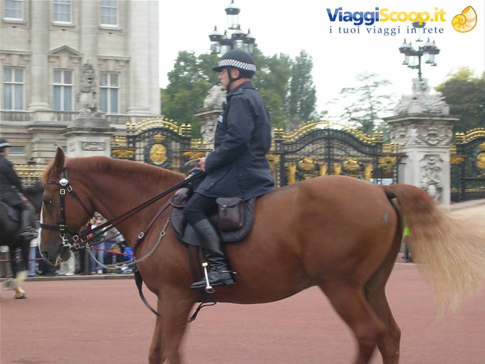 Poliziotto a cavallo