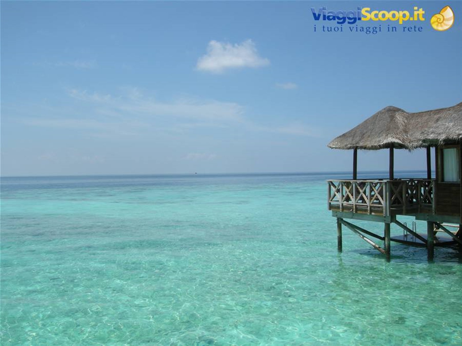 Foto di viaggio in MALDIVE