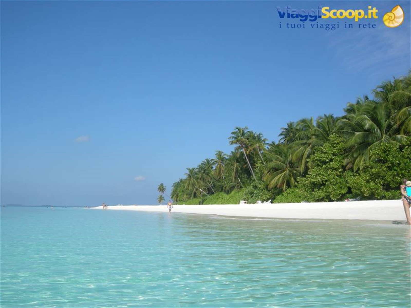 Foto di viaggio in MALDIVE