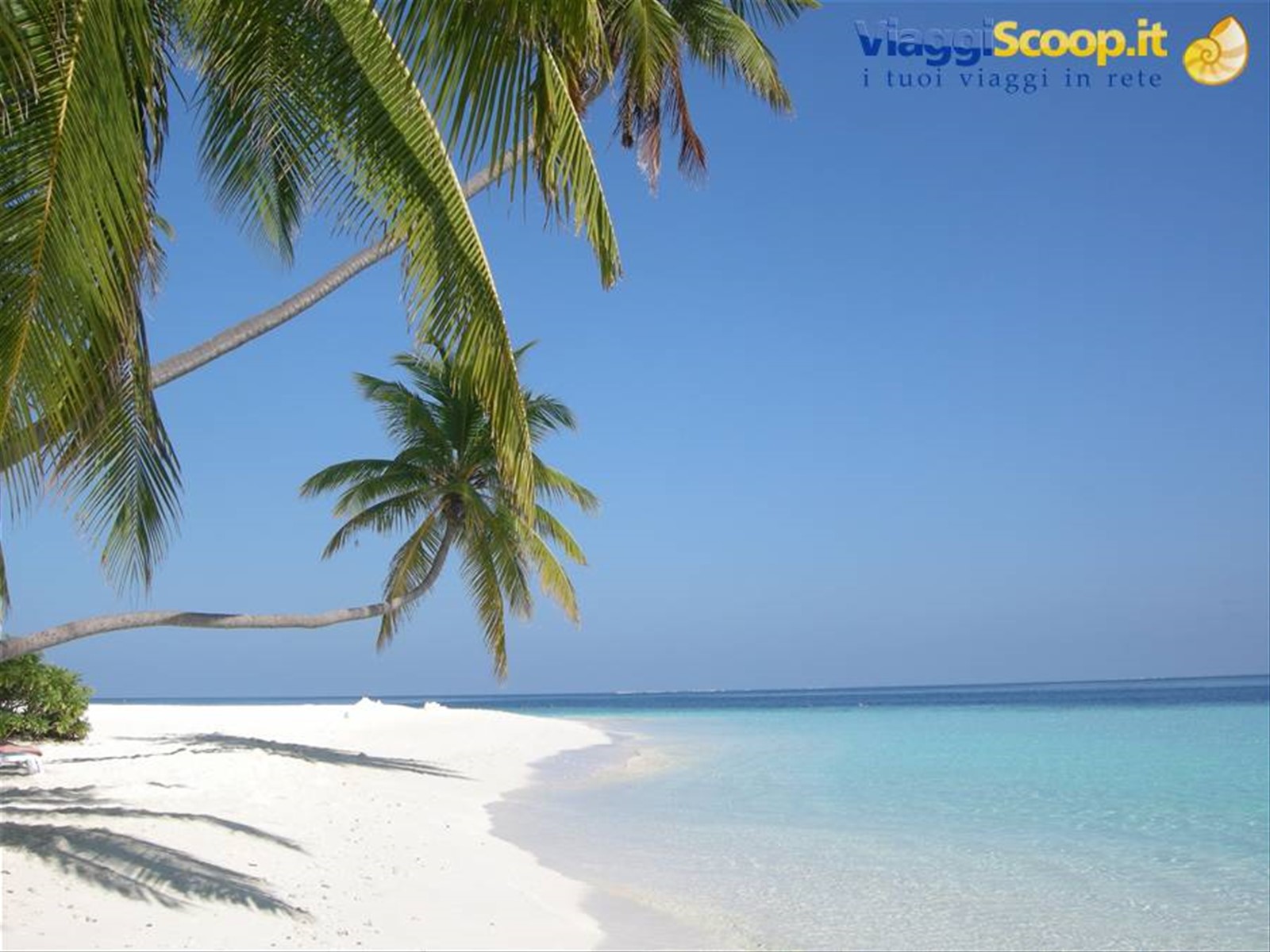 Foto di viaggio in MALDIVE