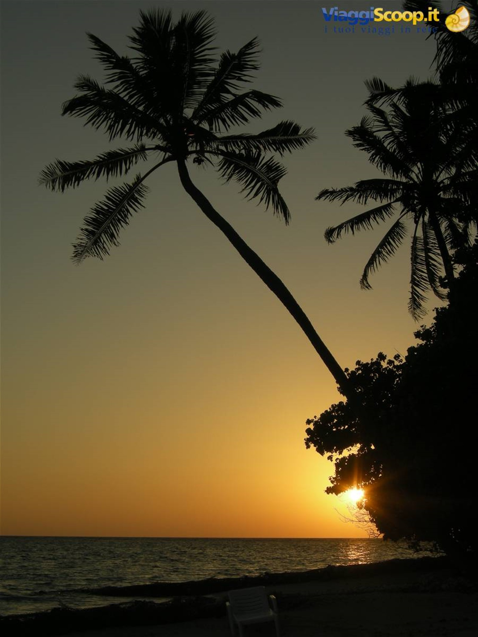 Foto di viaggio in MALDIVE