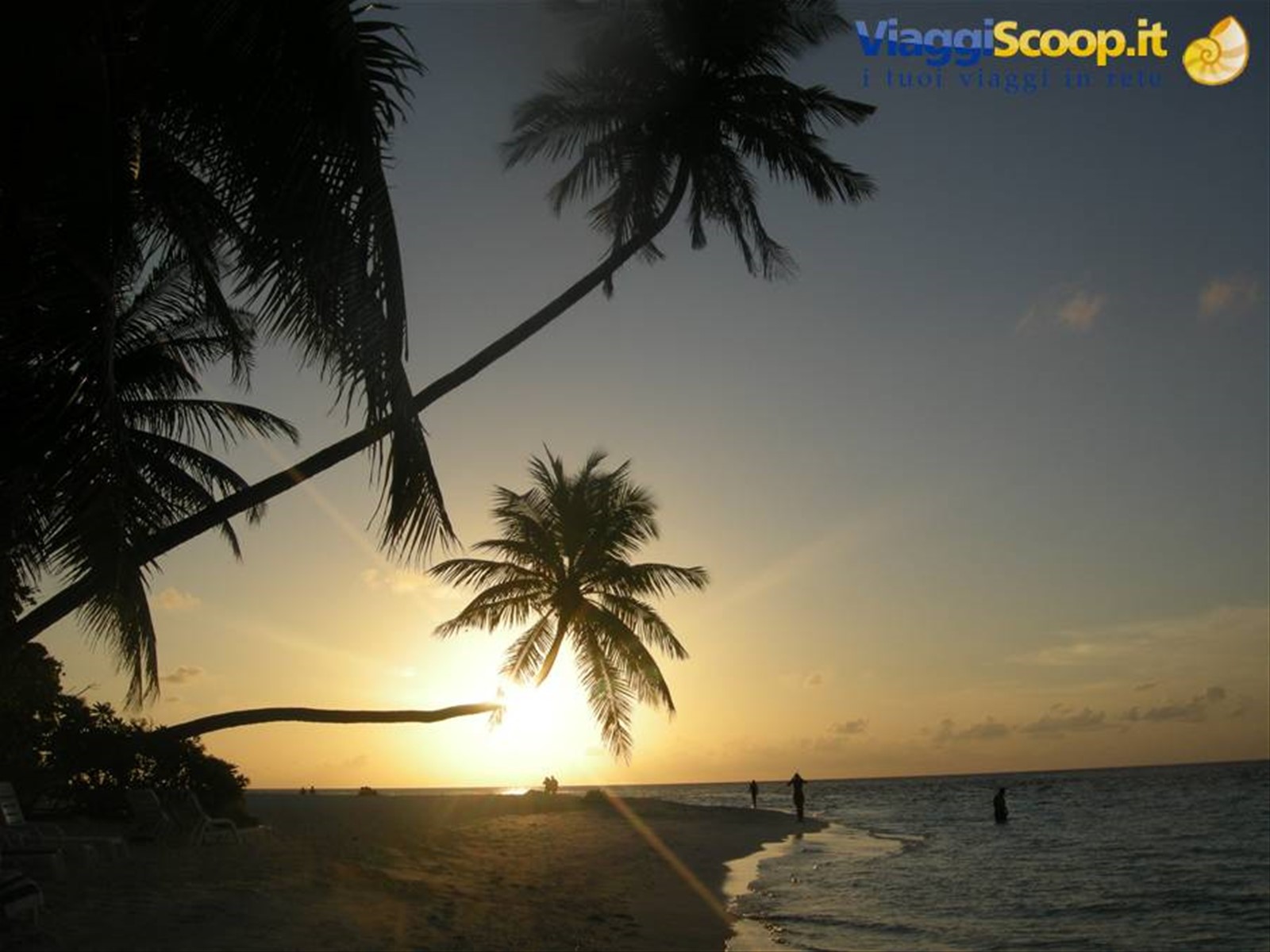 Foto di viaggio in MALDIVE