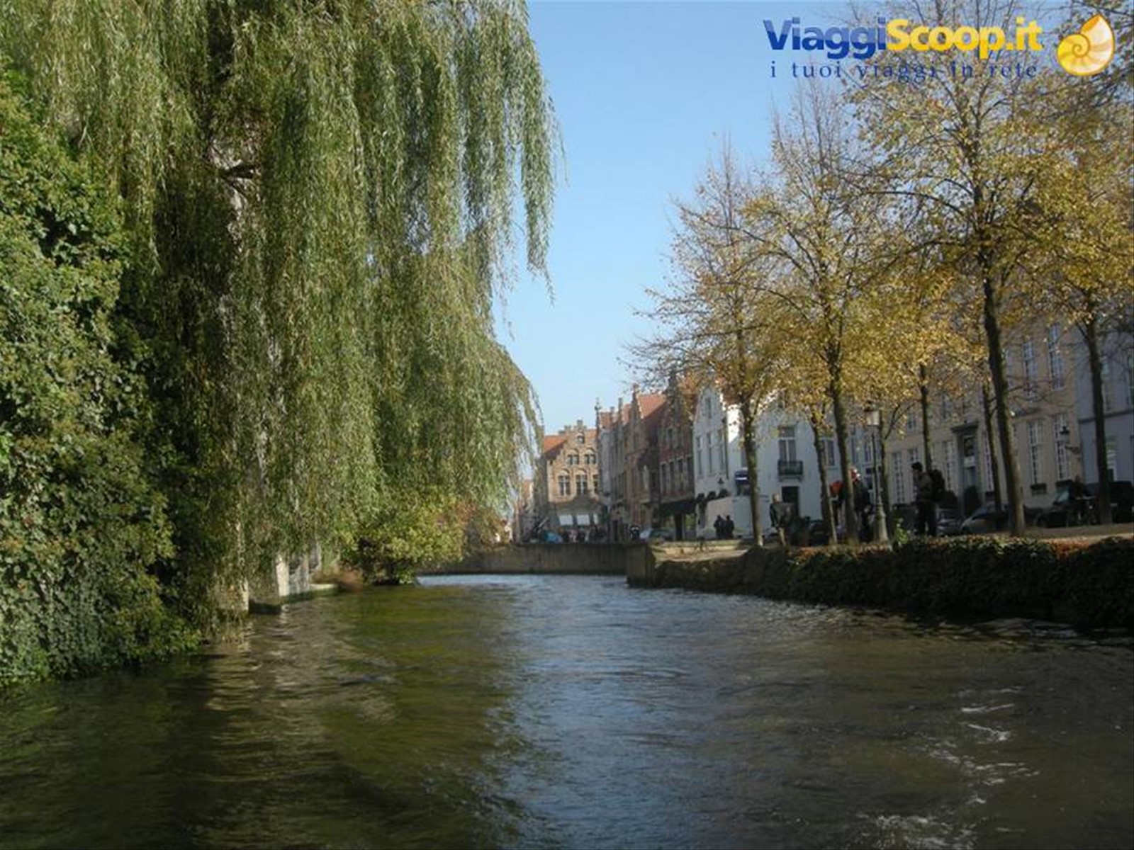 Foto di viaggio in BELGIO