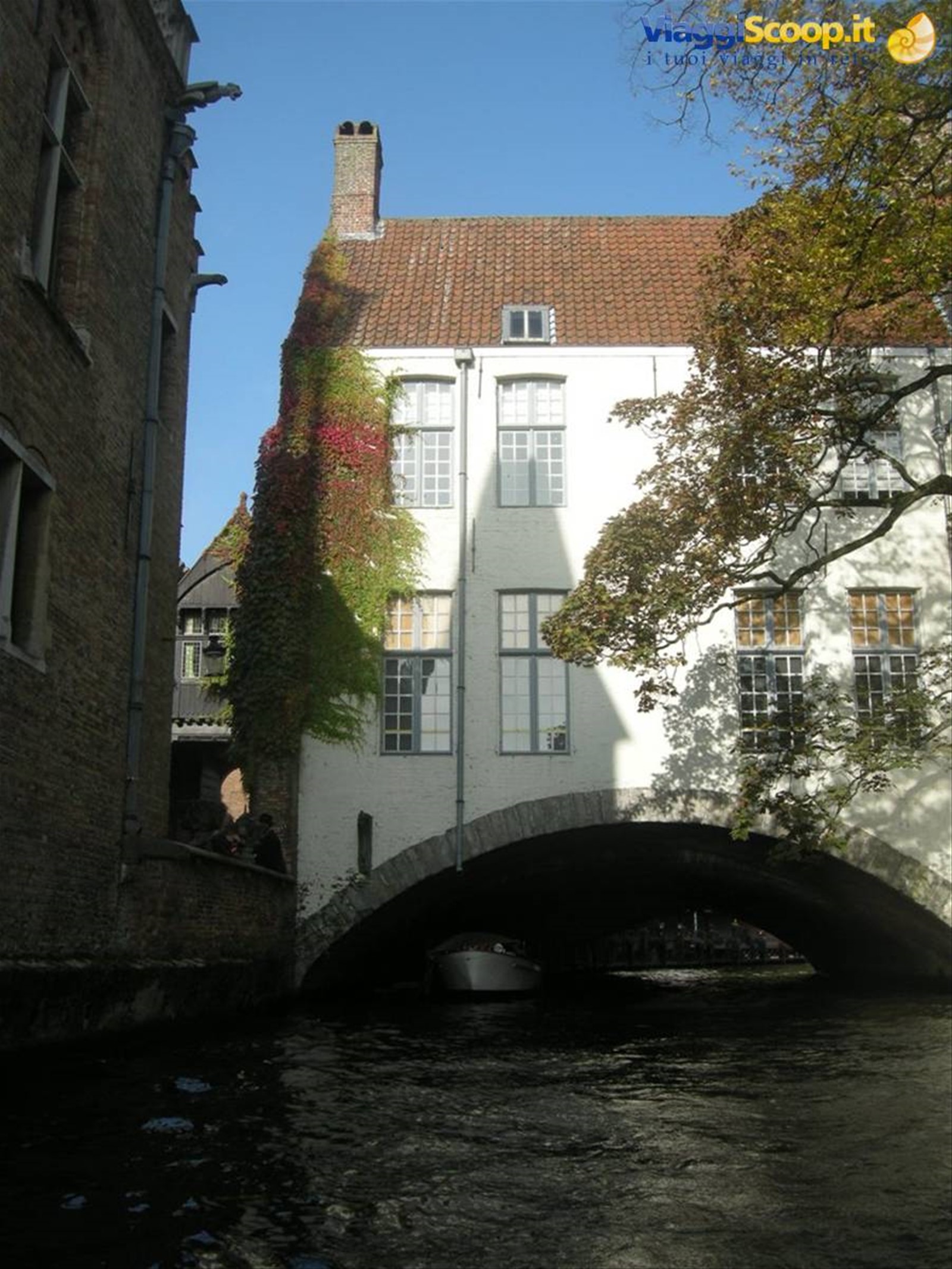 Foto di viaggio in BELGIO