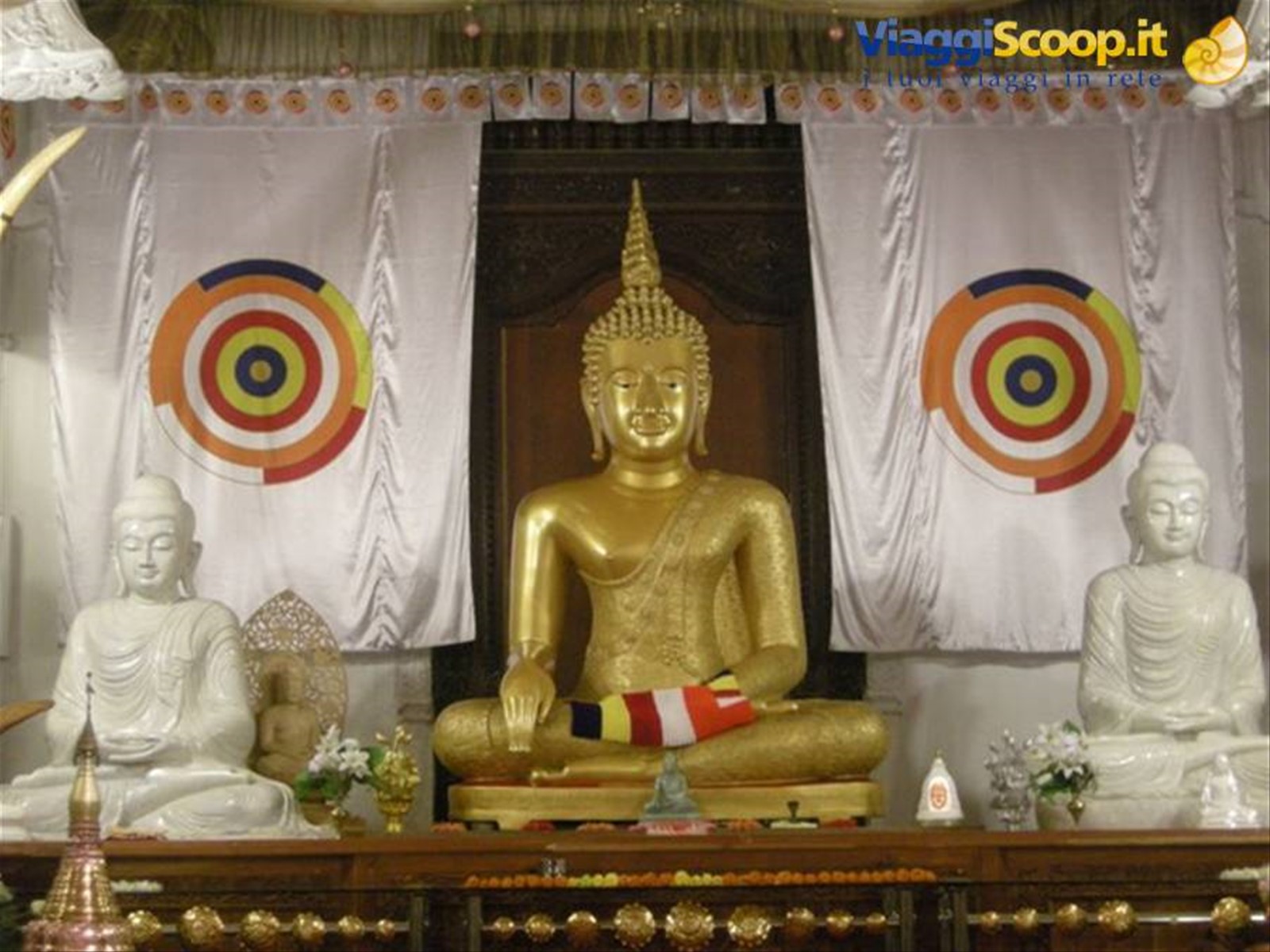 Foto di viaggio in SRI LANKA