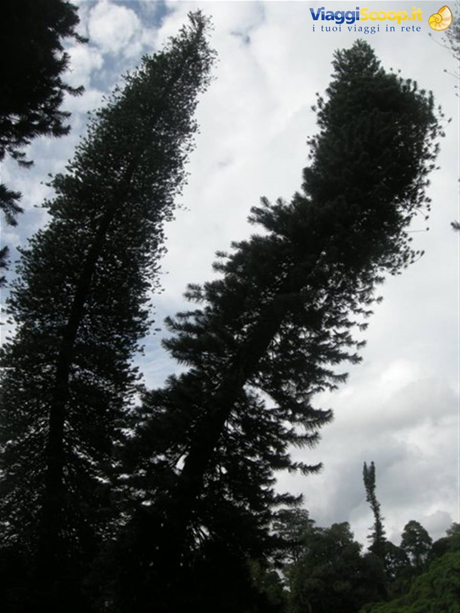 Kendy - giardini botanici reali