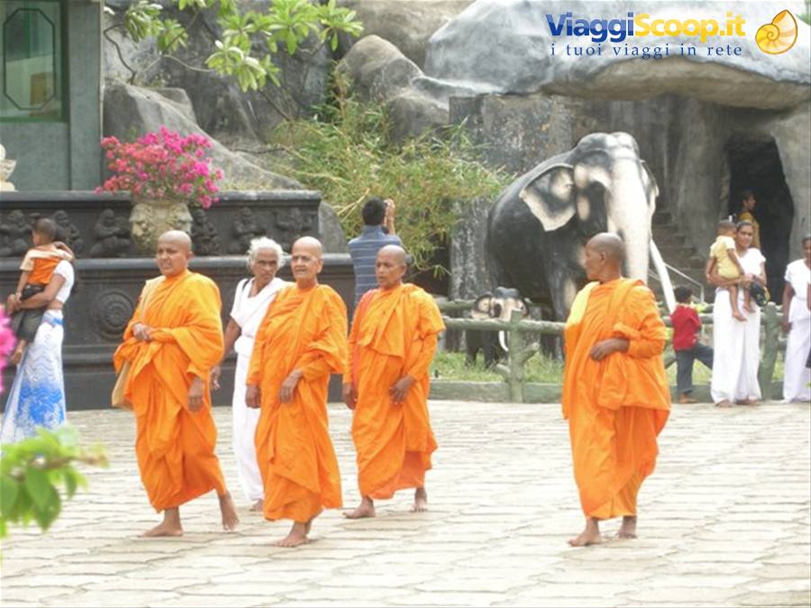 Foto di viaggio in SRI LANKA