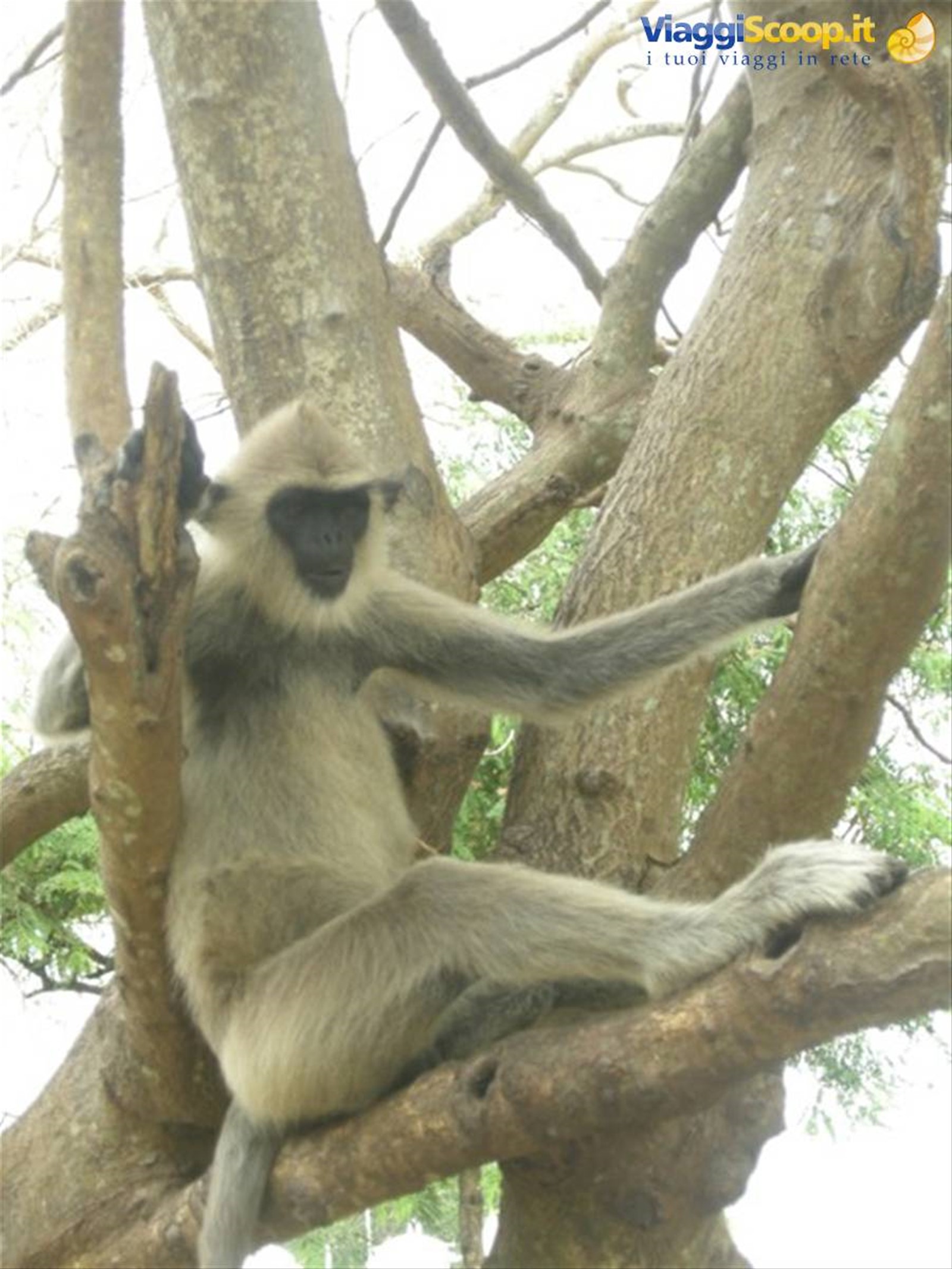 Foto di viaggio in SRI LANKA